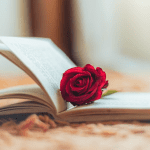 10 رمان پرفروش عاشقانه ایرانی
